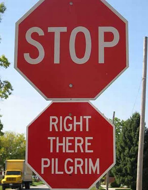 Stop Right There Pilgrim