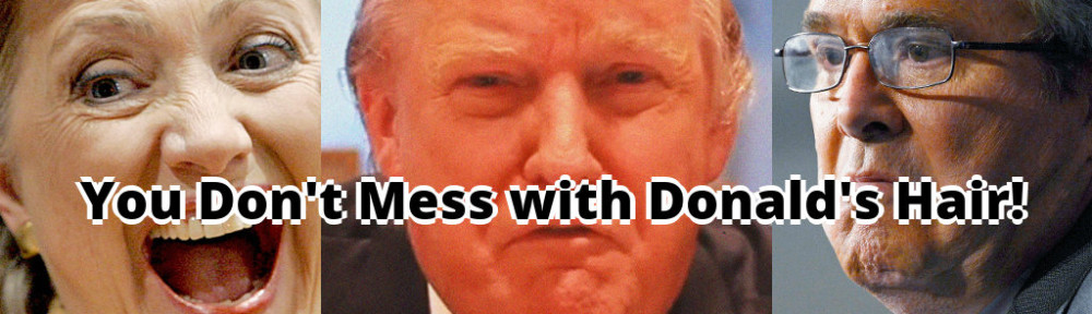 Donald's Hair banner: Joe's Dump