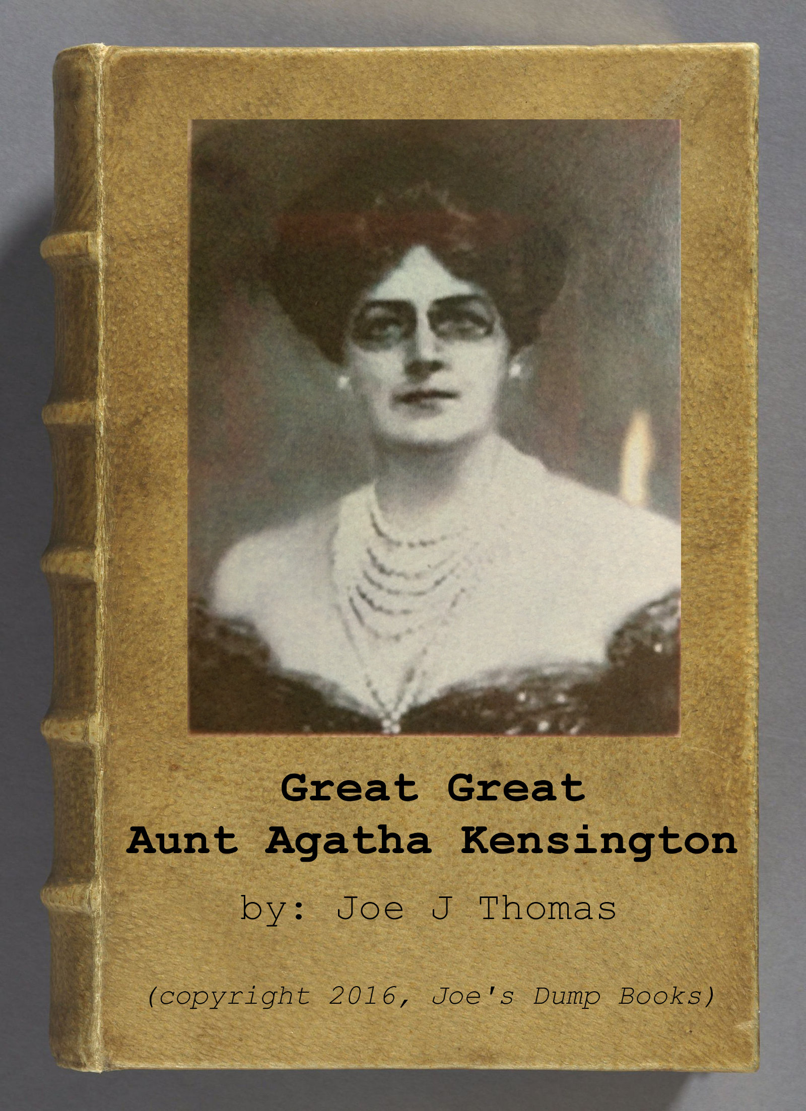 Great Great Aunt Agatha Kensington book cover