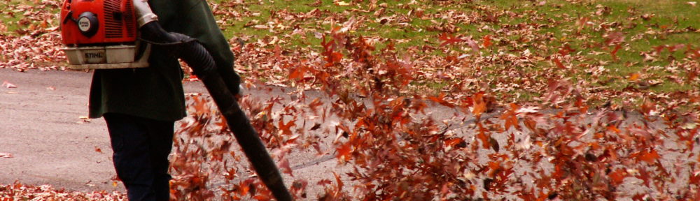 Leaf Blower Man