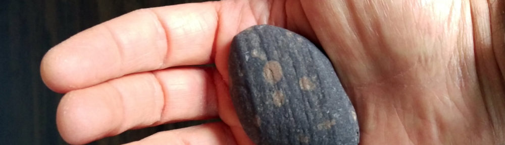 Pebble and Palm