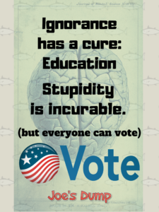 Idiots Vote: Joe's Dump