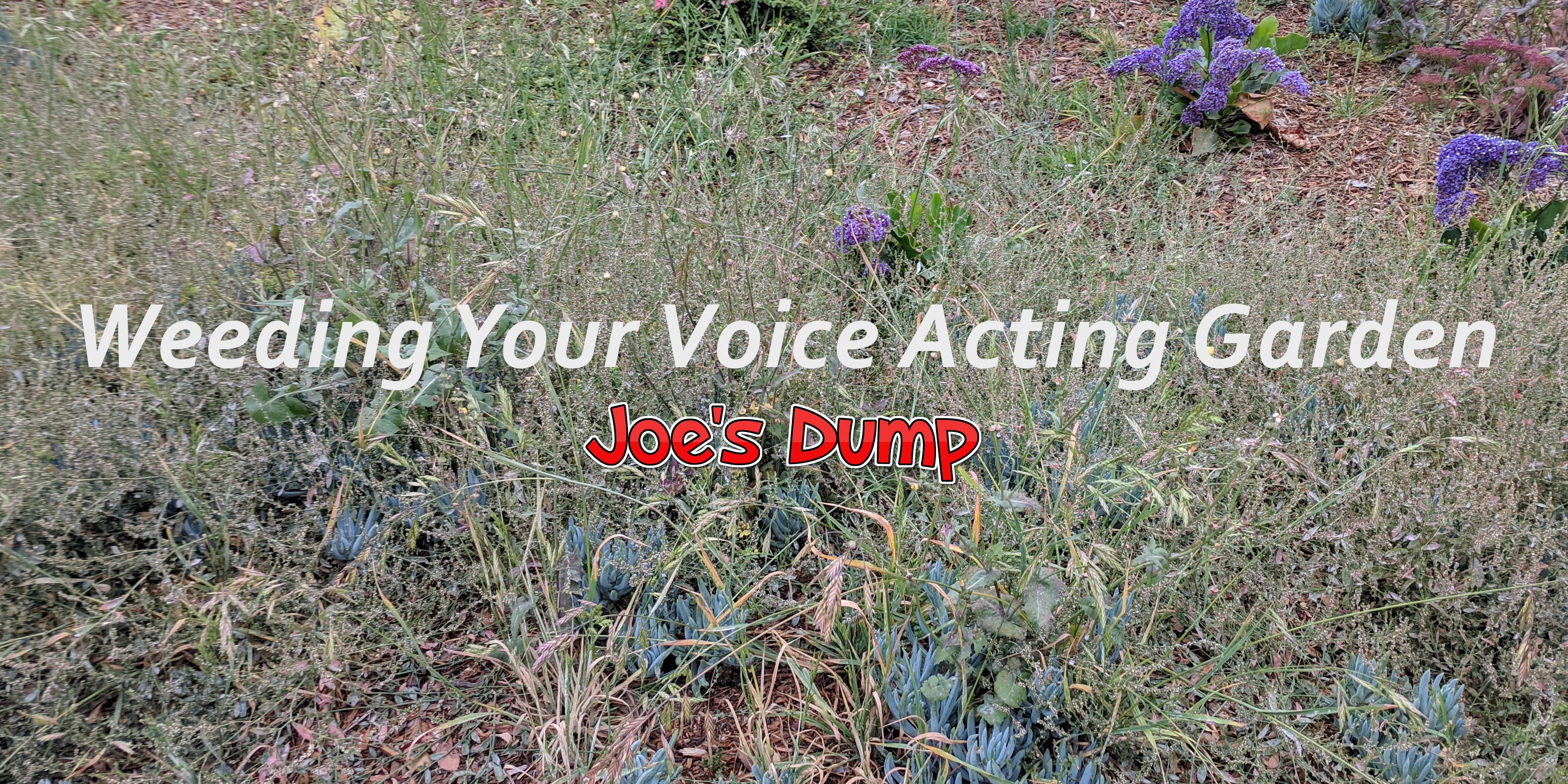 Weeding Your Voice Acting Garden: Joe's Dump