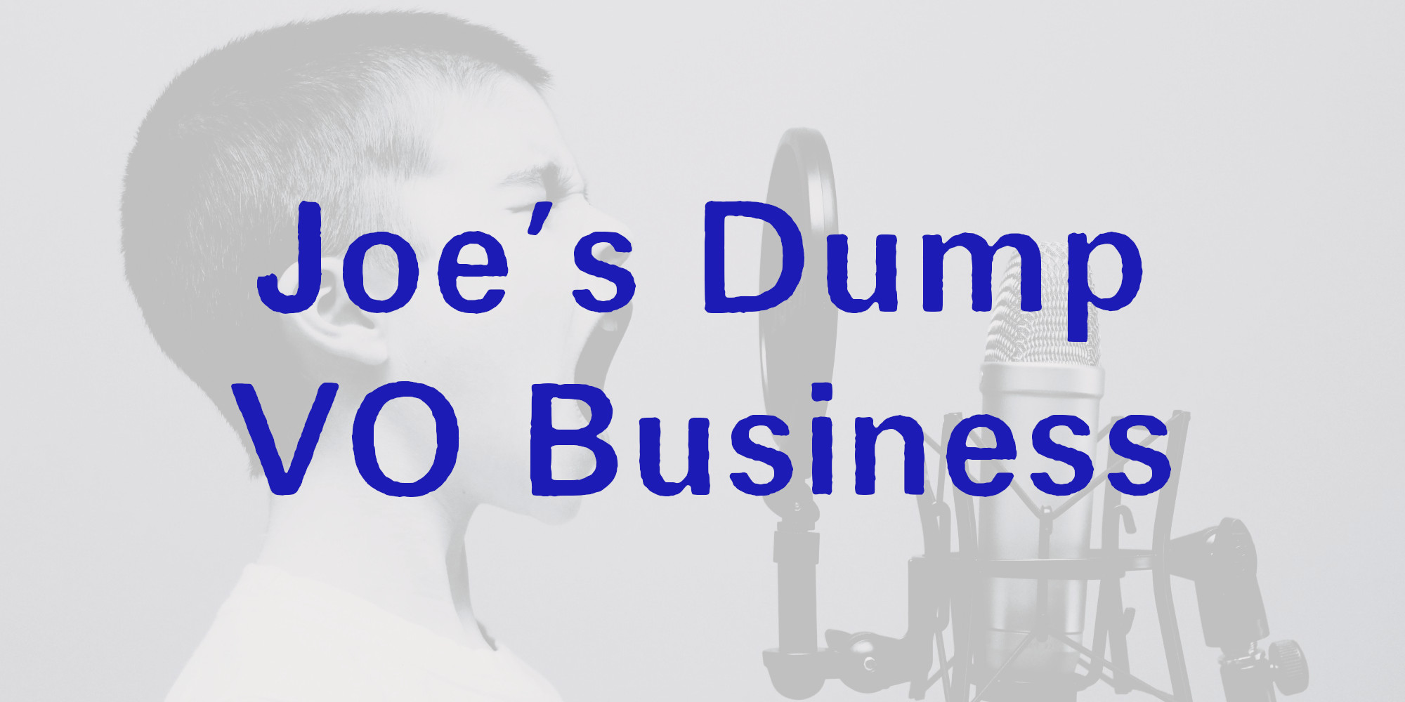 Joe's Dump: VO Business