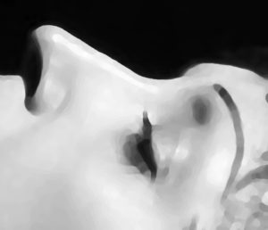 Edith Piaf's Nose