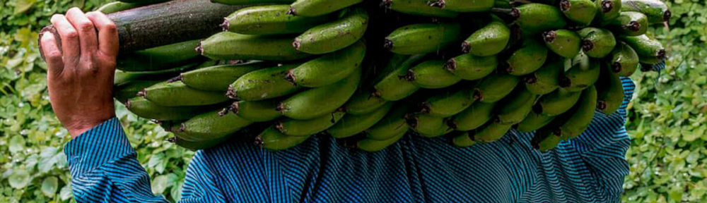 Bananas Back Carry