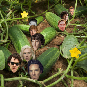 Benedict Cumberbatch Cucumber Patch