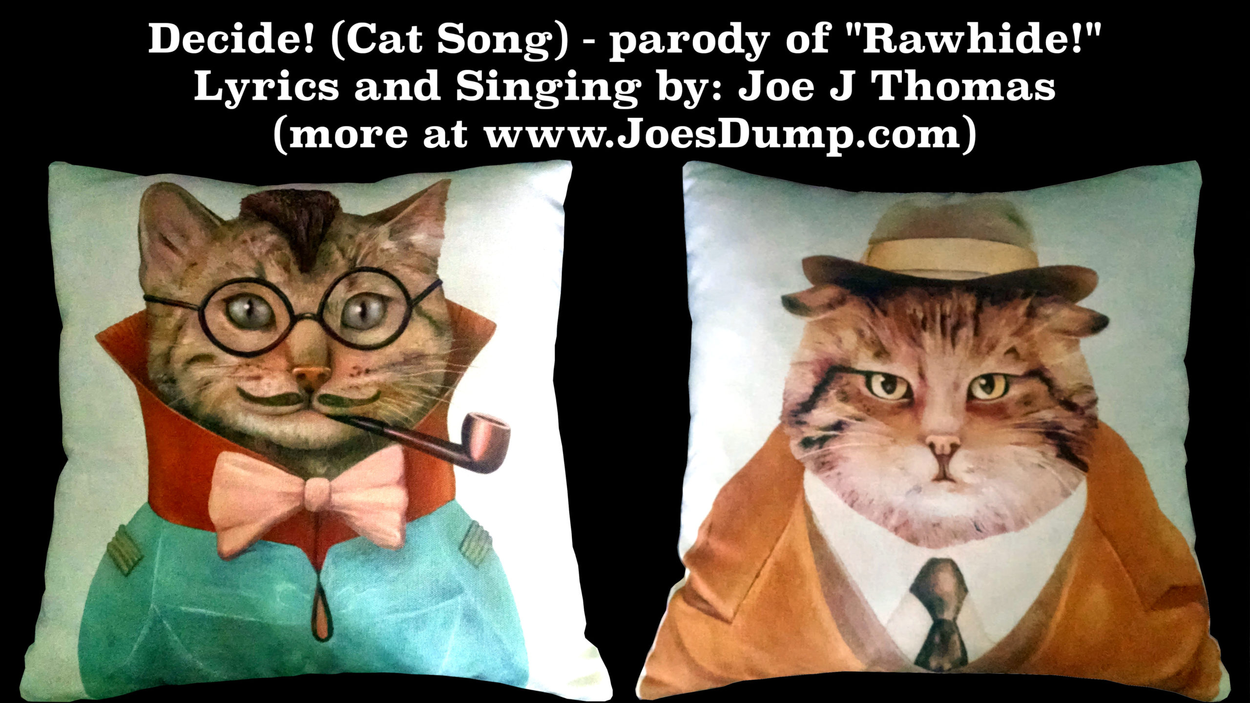Decide! (Cat Song) Parody of "Rawhide!" by Joe J Thomas of Joe's Dump JoesDump.com